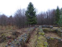 6  Saverne LE WASSERWALD 05 03 2017 40